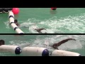 2nd GCC Beach Games 2015 - Open Water Swimming 10km