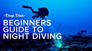 Beginners Guide To Night Diving | Deep Dive