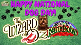 NATIONAL DOG DAY! 🐶🐾 Playing Wizard of Oz Over the Rainbow @Yaamava screenshot 4