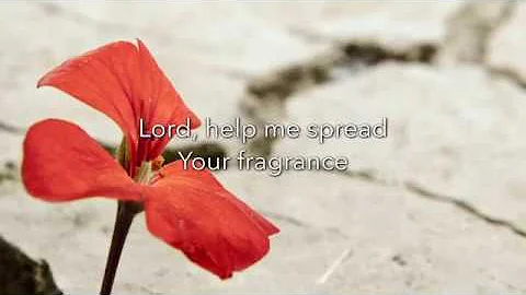 Prayer of Mother Teresa by Craig Courtney from Bec...