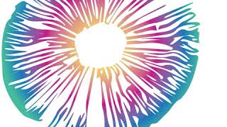Dr. Michael Sapiro - How Meditation, Mindfulness and the Psychedelic Experience Relate
