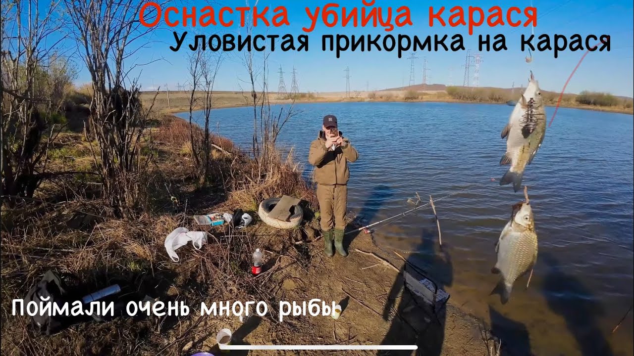 Оснастка убийца карася . Очень много рыбы. Уловистая прикормка на ...
