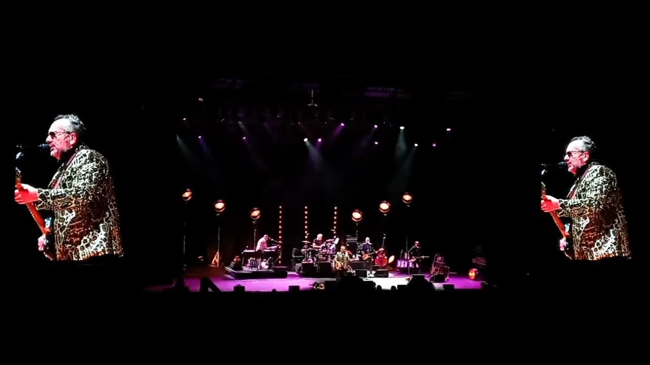 ELVIS COSTELLO live at YAAMAVA Sept 3 2022 - YouTube