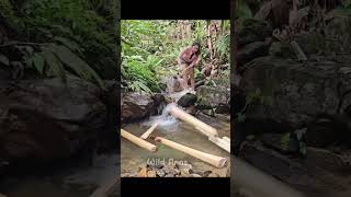 Bushcraft adventure:Rainforest ShelterBuild |Cook King porcini,Wild Tea &amp;Burger| Woods ASMR