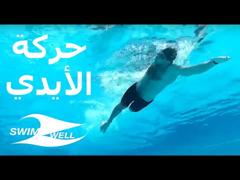 حركة الذراعين في السباحة الحرة