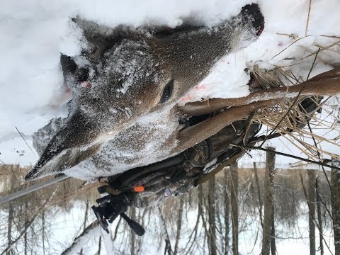 1802 Jan 11/2018 – This week we have 3 great late season hunts, and a look at a very cool book written by a MI Conservation Officer.