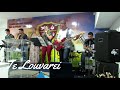 Te Louvarei - Louvor e Honra