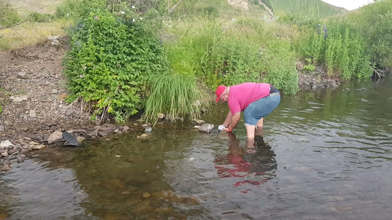 Ձկնորսություն