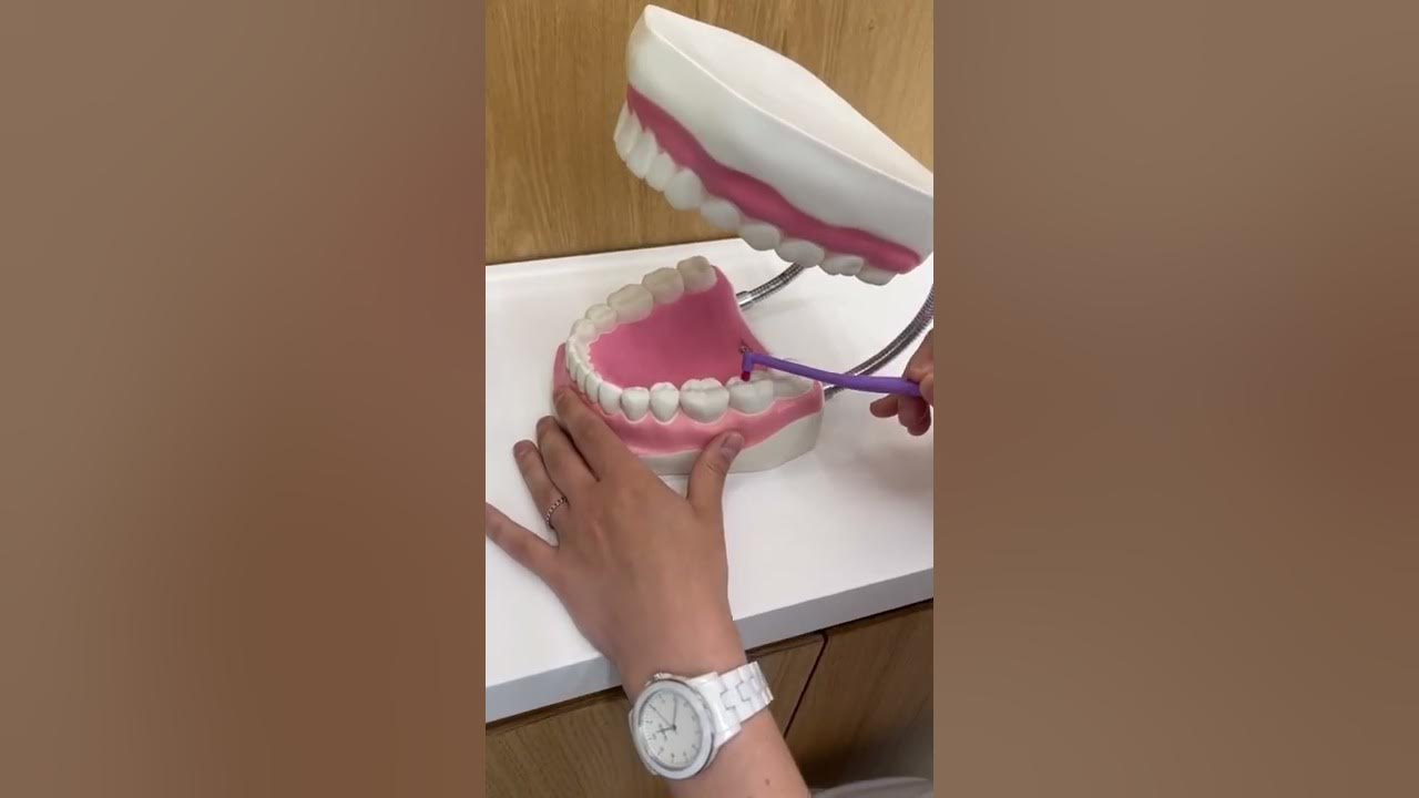 Монопучковая зубная щетка - техника чистки. Монопучковая щетка для ...