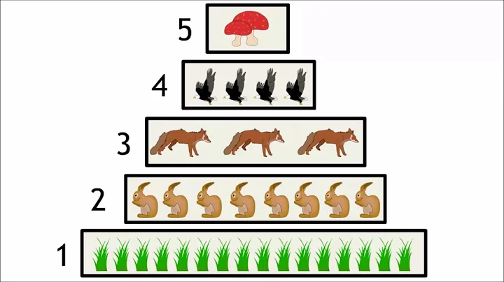 Trophic levels in an ecosystem - WELS (Waterpedia Environmental Learning Series)