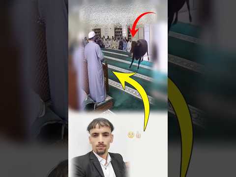 لحظة خوف تحو لت إلى سجدة شكر لأن الله حفظ عباده في بيته