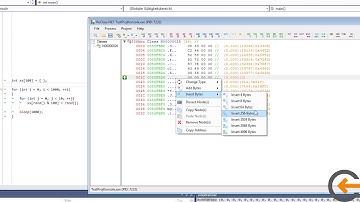 ReClass.NET Change Highlighter