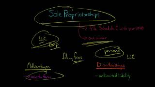 Sole Proprietorships | Advantages and Disadvantages