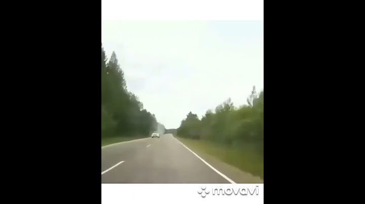 КТО ИЗ НИХ ИСПУГАЛСЯ БОЛЬШЕ?🤣|Which of them scared more?🤣