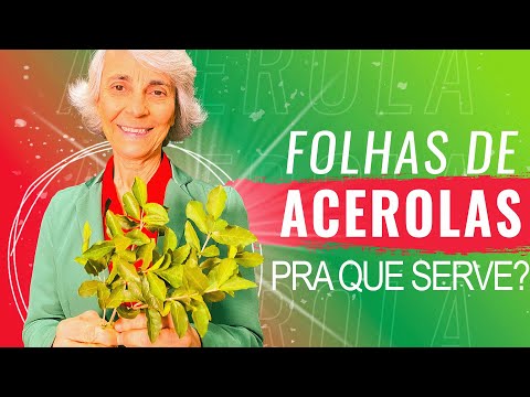 Acerola: imunidade, pele