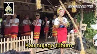 Tarian siokkok mentawai