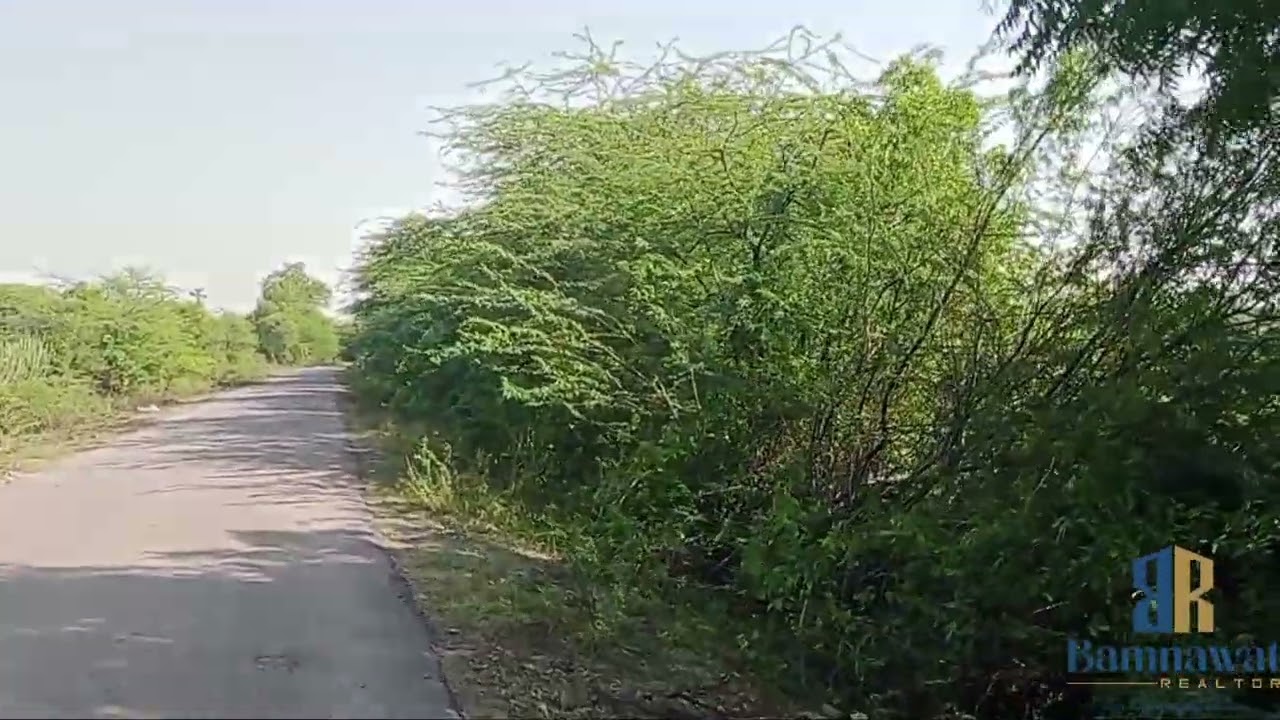 Project No. (189) 42 Bigha Agriculture land for sale Kachola village Bhilwara Distrct.