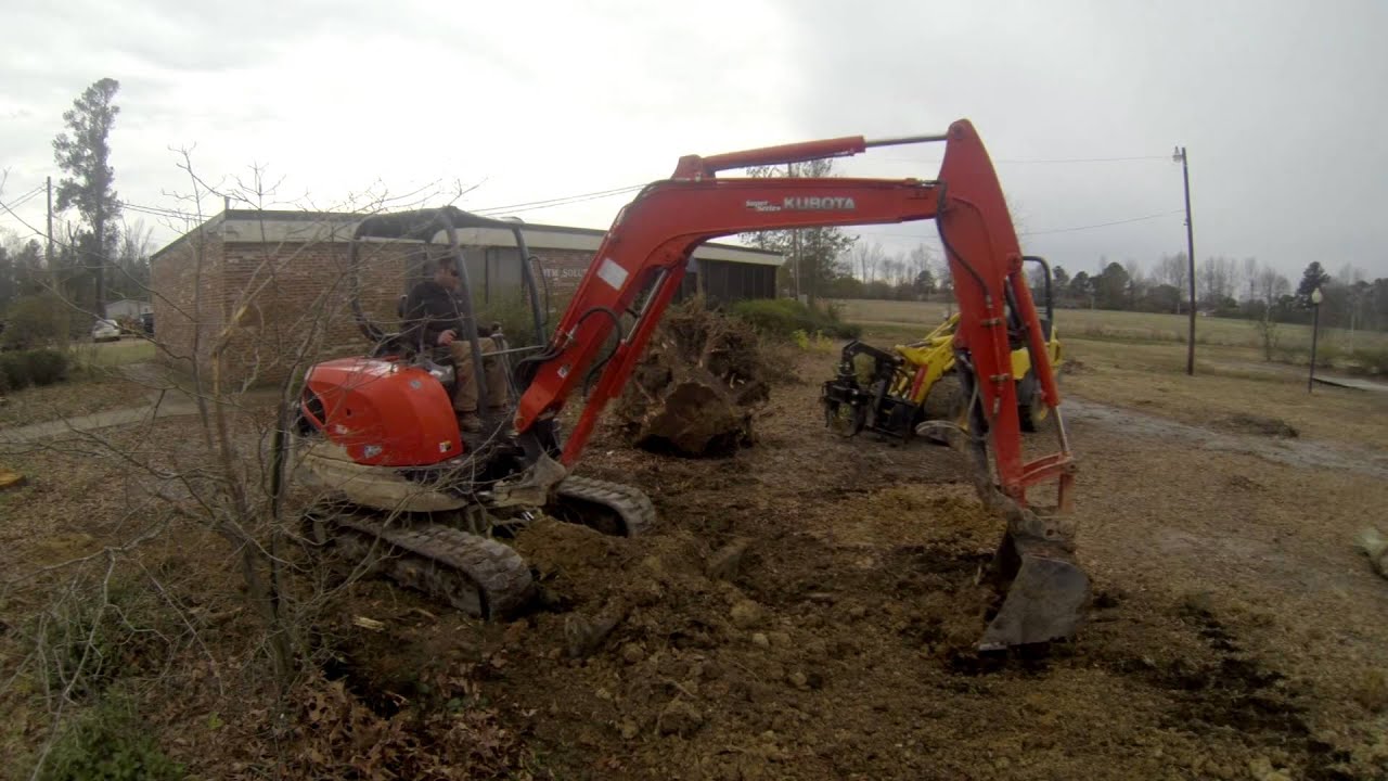 Excavating 3 Stumps and Some Bushes at BTM