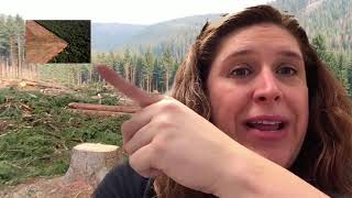 Flipgrid Video Demo