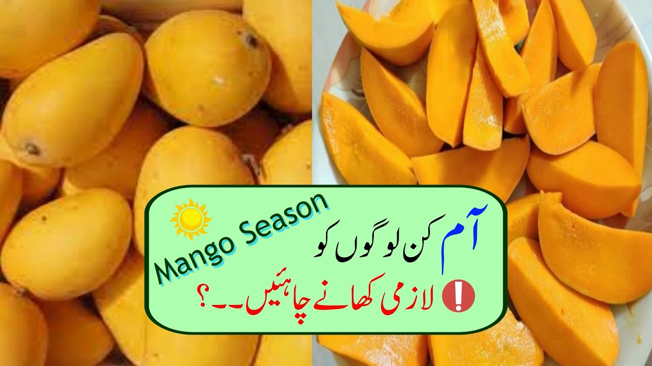 Mango Benefits Urdu English Aam Khane Ke Fayde Mango Benefits Aam