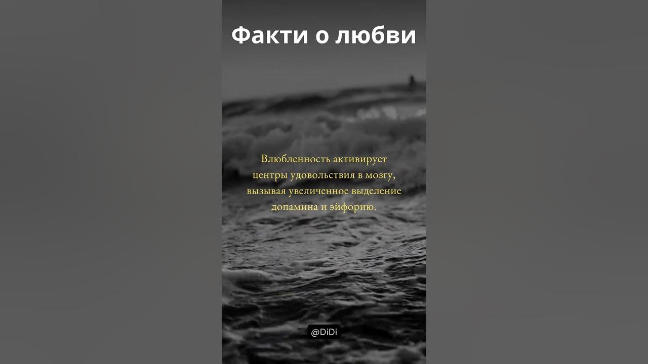 ИНТЕРЕСНИЕ ФАКТИ #факты #shorts - YouTube