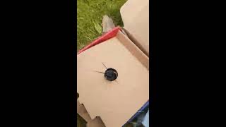 2000 eclipse gt transmission removal