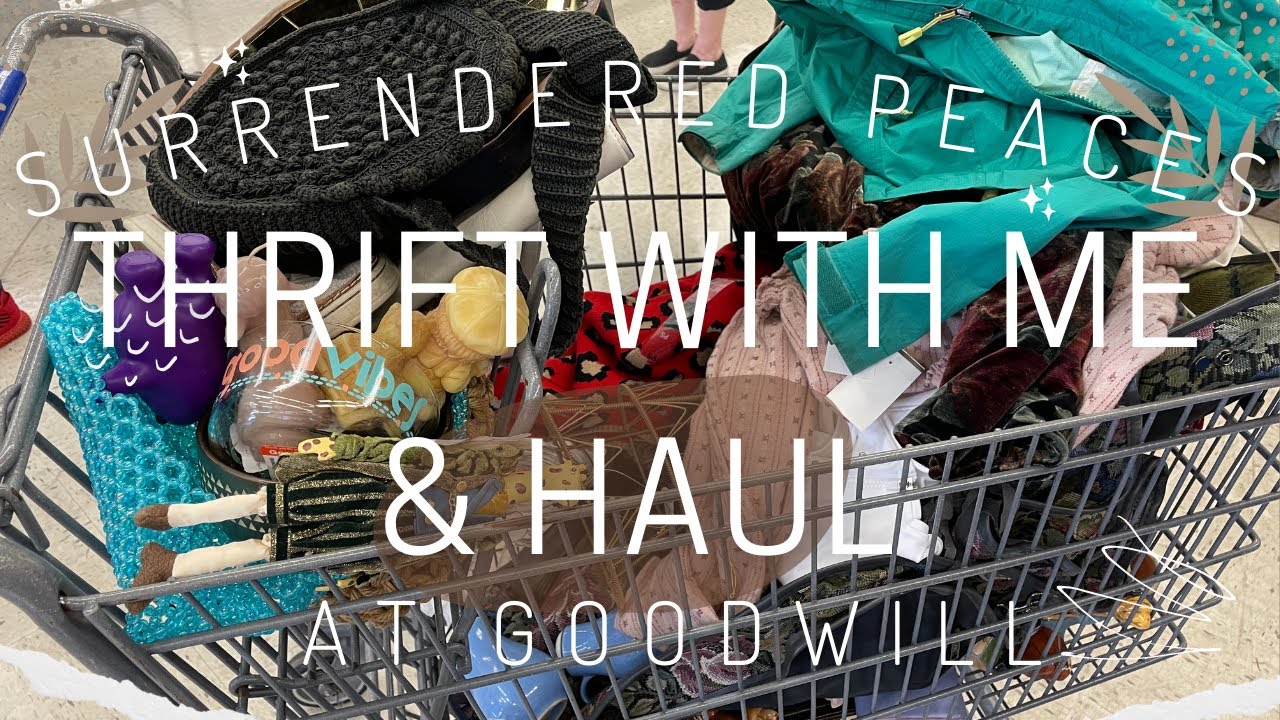 THRIFT WITH ME at Goodwill on Cyber Monday! You wont believe my haul of ...