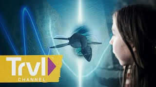 Download Lagu Loch Ness: A Portal to the Past? | In Search Of Monsters | Travel Channel MP3