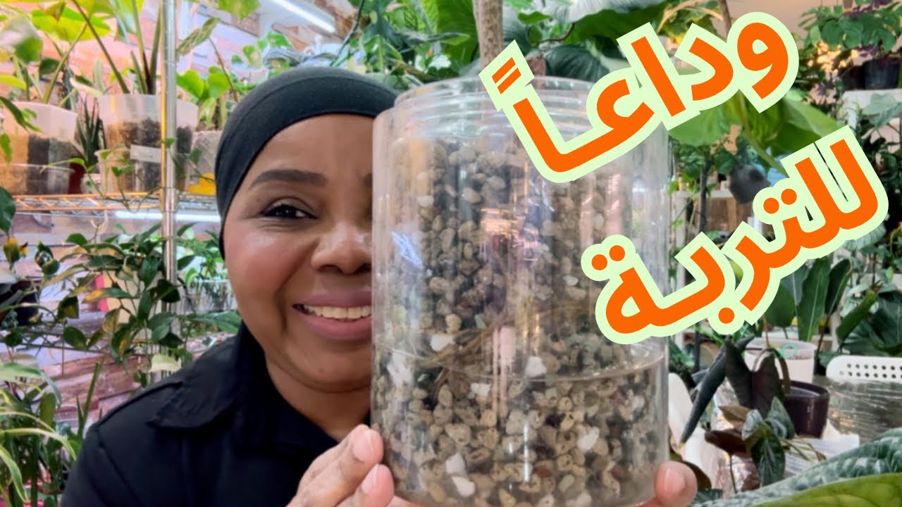 طريقتي في نقل النبتة من تربة الى احجار | خطوة بخطوة ✨🪴