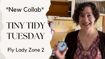 Tiny Tidy Tuesday Collab | Fly Lady Zone 2 | Kitchen