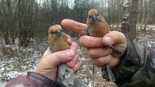 С Дядей Витей за щуром 🐦🐦🐦