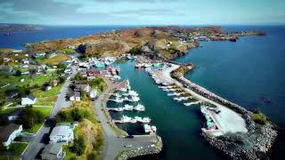 Chess Wish And Chips