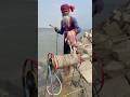 Amazing Fishing idea in deep river with chicken bait throwing #bait #fishinglife