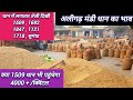 Live 👉 अलीगढ़ मंडी धान का भाव || 1847 dhan ka bhav || 1509 ka bhav || 1718 dhan ka bhav #dhankabhav