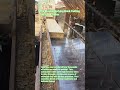 How Bricks are Mass Produced! ​#brickmaking #industrialprocess #constructionlife #satisfyingvideo