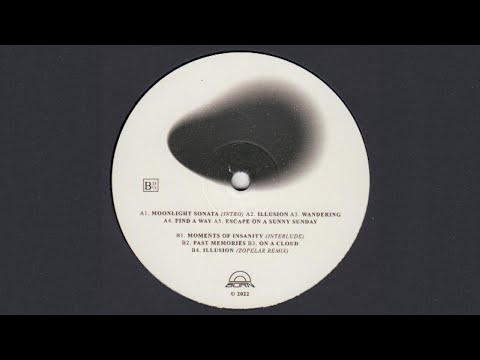Night Passengers — Night Passengers - Illusion (Find A Way) [BORN03]