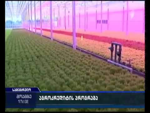 მედიატური სამეგრელო ზემო სვანეთში