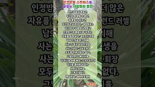 인간관계 스트레스를 덜 받는 사람들의 명언  음악 듣고 1분만 쉬어요 💌  #위로 #위안 #희망 #인생명언 #따뜻한말 #좋은글 #명언 #어록 #행복 #힐링 #치유