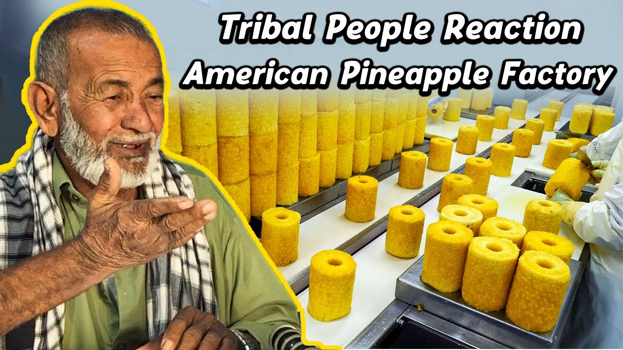 Tribal People React To Most delicious USA Del Monte Pineapple, American Food Factory