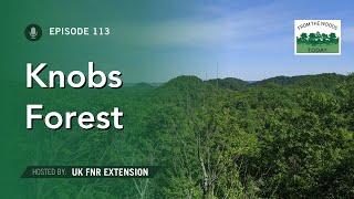 Knobs Region of Kentucky  From the Woods Today  Episode 113