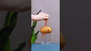Viral Science Tricks 🚀