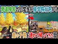【ほぼ実話】発達障害がある小学生が修学旅行先の公園から鹿の子供を連れて帰ってきてしまった時の話【猫ミーム】【猫マニ】