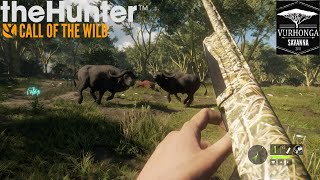 The Hunter Call Of The Wild Pc Gameplay | Three Cape Buffaloes