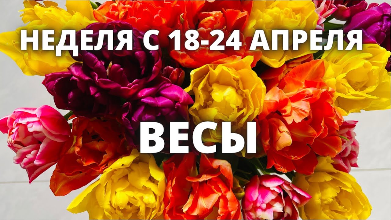 Грехи недели 1 апреля 7 апреля. Грехи недели 1 апреля 7 апреля