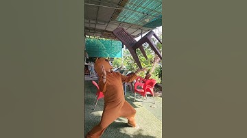 Gấu lầy làm xiếc #funny #haihuoc