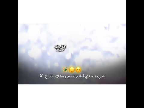 صلاح الدين الشرقاط الشارع الصبخه