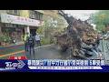 暴雨釀災? 台中力行國小旁突樹倒 5車受損｜TVBS新聞 @TVBSNEWS01