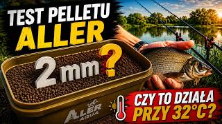 TEST Pelletu ALLER 2 mm | Czy działa przy 32°C? | Method Feeder na zbiorniku PZW