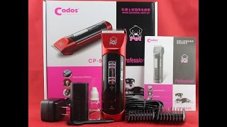 [Khui hộp] Thể hiện đẳng cấp thú cưng với Codos CP 9500