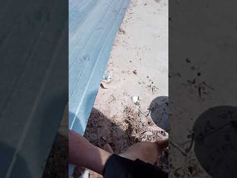 عندما يصبح الصياد فريسة